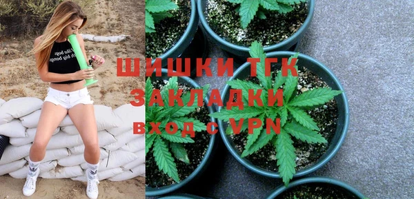 шишки Алзамай