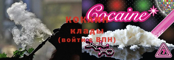 молекула духа Алексин