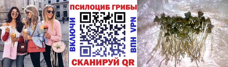 как найти Уссурийск мега зеркало Галлюциногенные грибы ЛСД