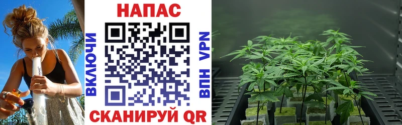 МАРИХУАНА Bruce Banner Уссурийск